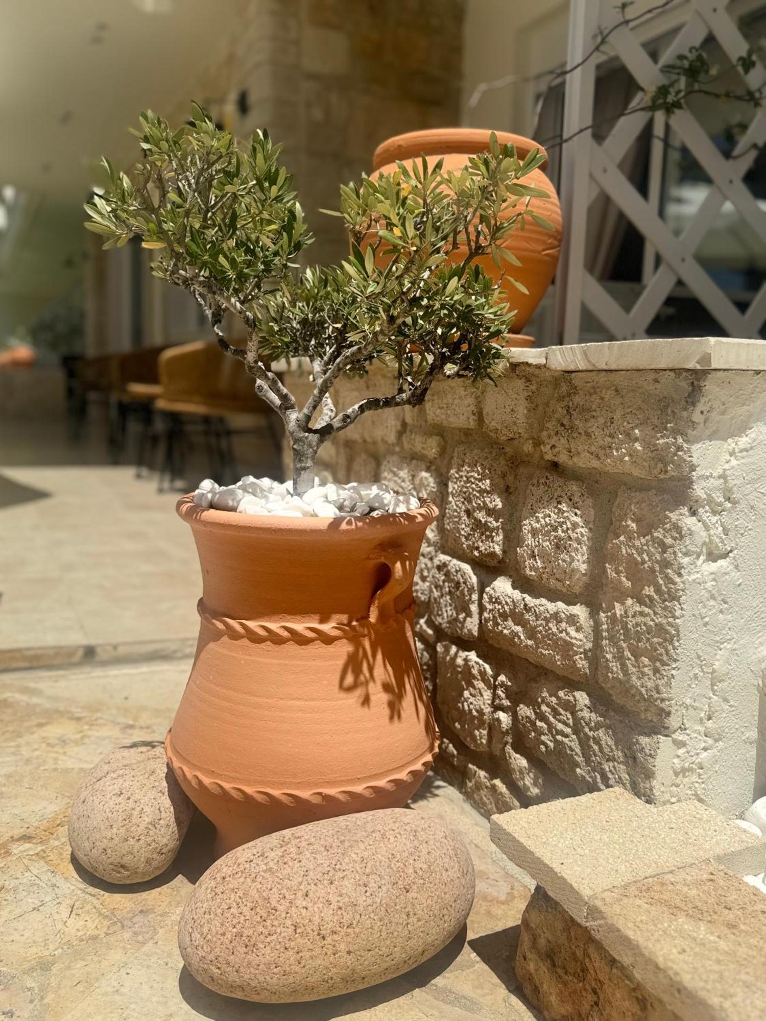Aparthotel Melis